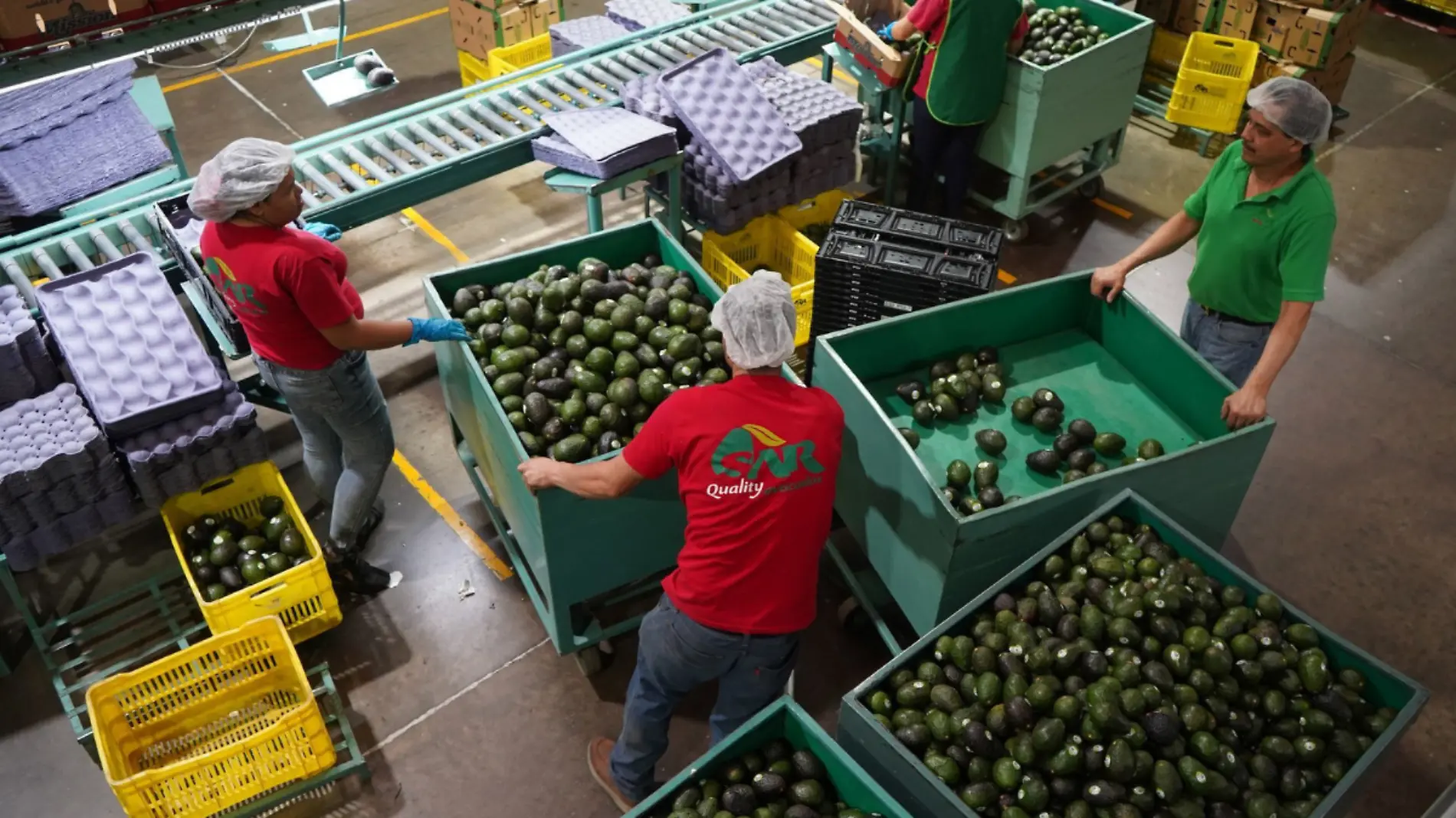 Importación de Aguacate